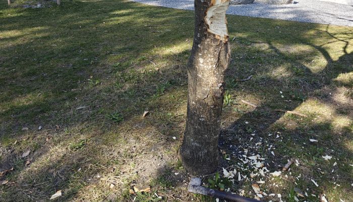 Sachbeschädigung Familienpark Waldhotel