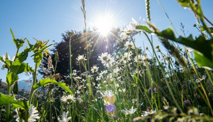 Wettbewerb „Natur im Wandel der Jahreszeiten“