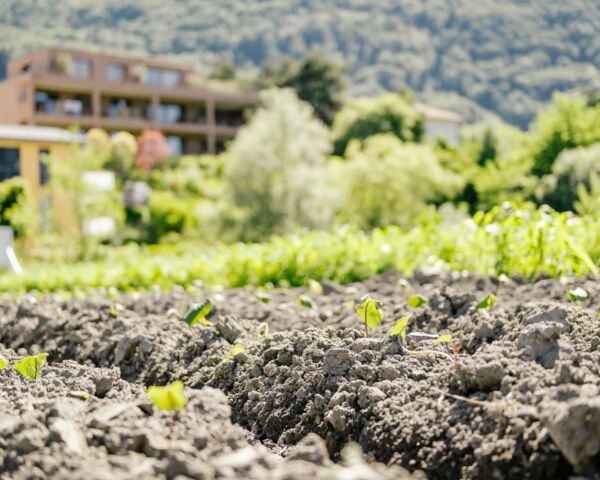 Ernährungsfeld Vaduz