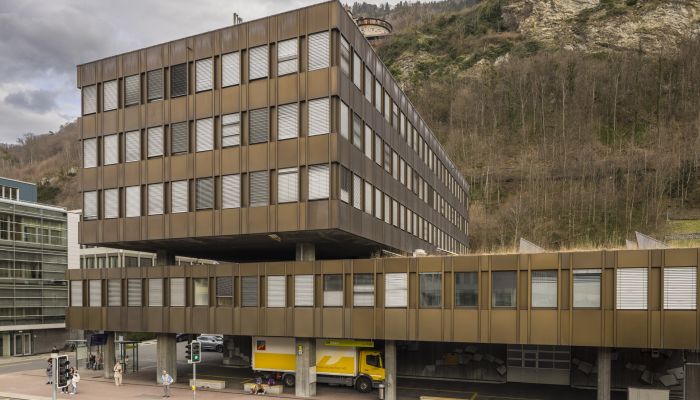 Referendum: Zustandekommen und Abstimmungstermin