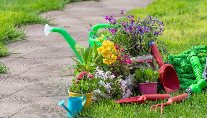 Grünmüll richtig entsorgen Blühende Pflanzen in Töpfen im Garten