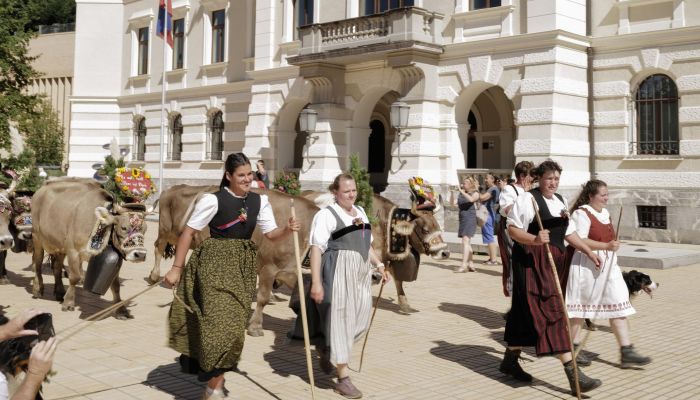 Alpabfahrt Alp Pradamee