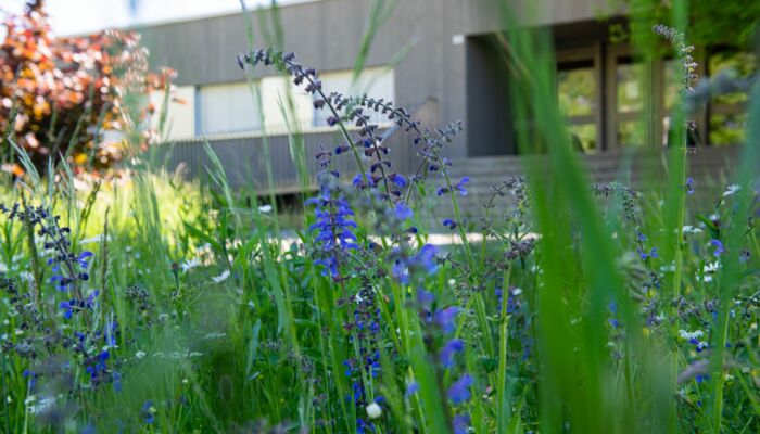 Der Natur ihren Raum geben