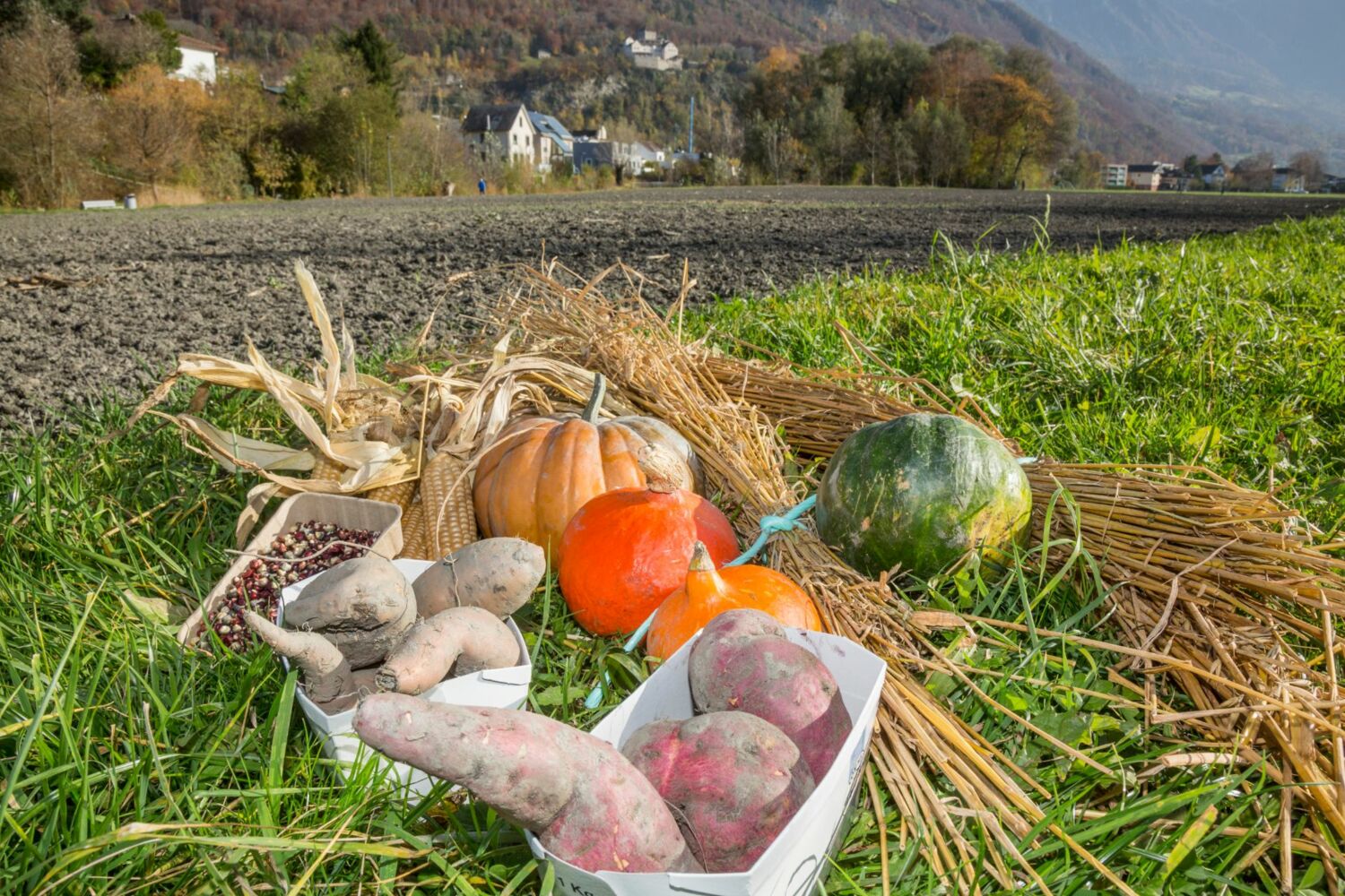 Weltacker Vaduz