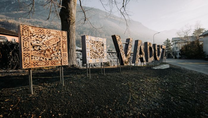 Neues Insektenhotel für mehr Biodiversität in Vaduz