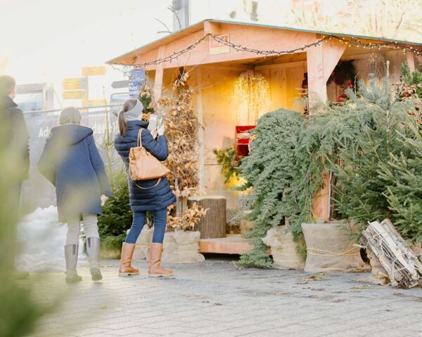 Weihnachts-Städtle Vaduz