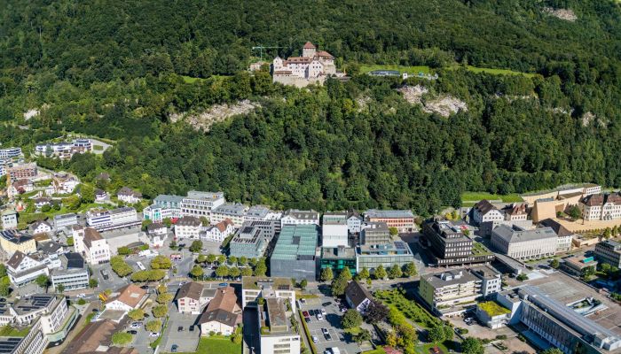 Informationsveranstaltung Zentrumsentwicklung Vaduz