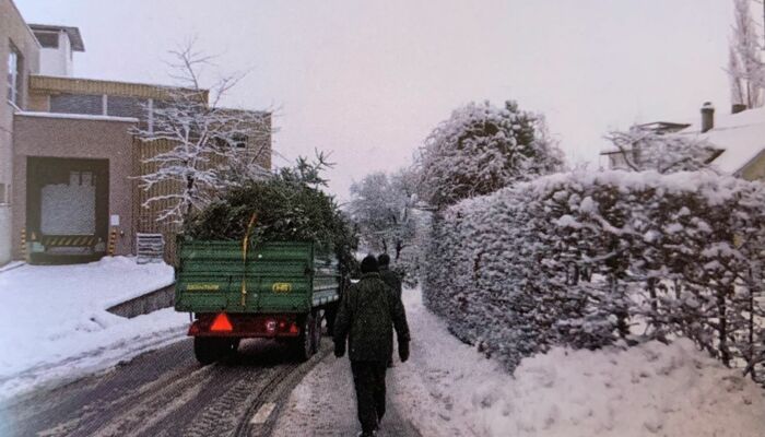 Christbaumsammeln in den Quartieren