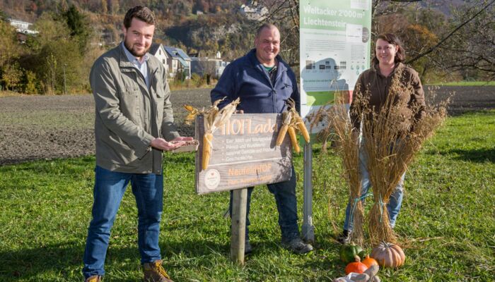 Ernährungsfeld im Haberfeld Vaduz
