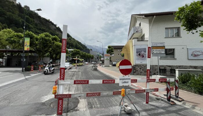 Belagssanierung in der &Auml;ulestrasse Bild
