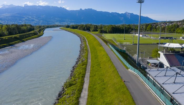 Verfügung Strassenausbau Rheindamm