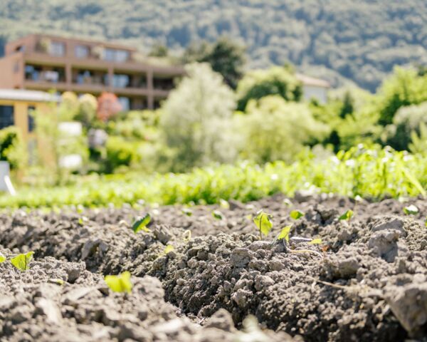 Ernährungsfeld Vaduz