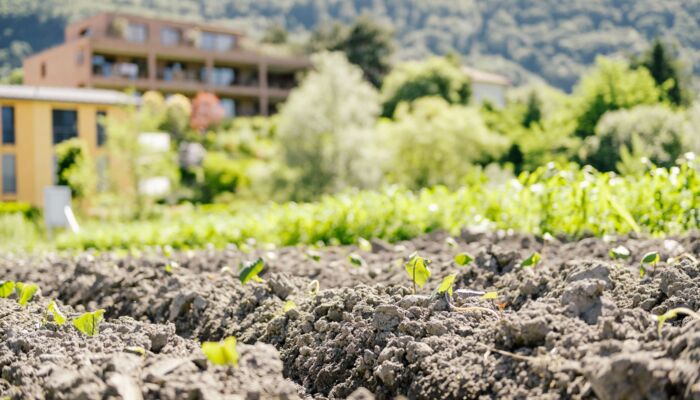 Ernährungsfeld Vaduz