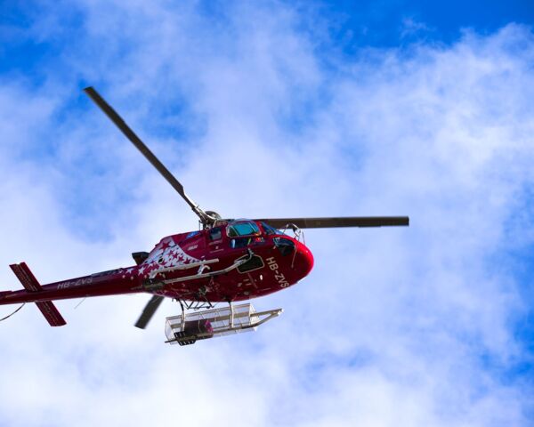 Michael Derrer Fuchs / Shutterstock.com