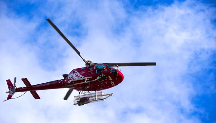 Michael Derrer Fuchs / Shutterstock.com