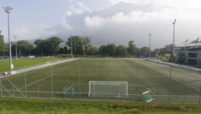 Kunstrasenplatz Rheinpark Stadion