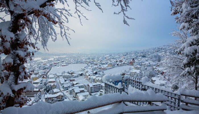 Öffnungszeiten Weihnachten und Neujahr Bild