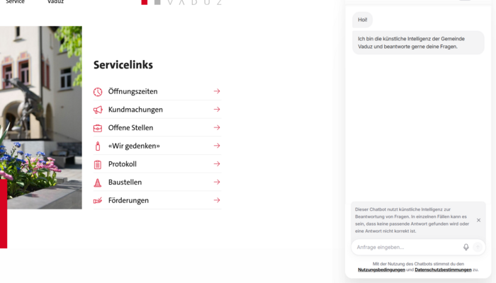 Neuer Chatbot "Vaduzli" Bild