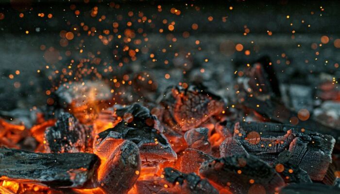 Warnung vor erheblicher Waldbrandgefahr Bild