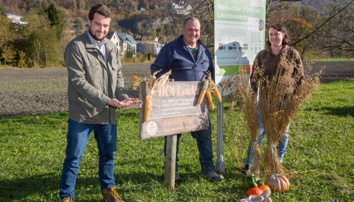 Ernährungsfeld im Haberfeld Vaduz